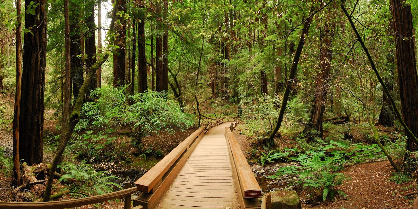 Muir Woods National Monument